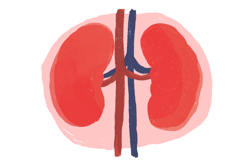 chronic-kidney-disease-peninsula-nephrology-associates